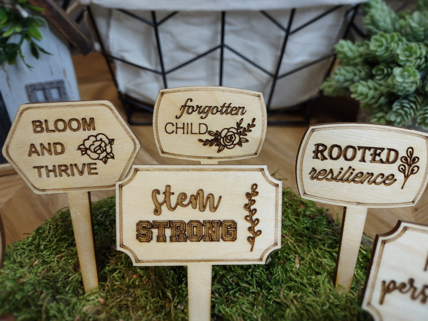 Funny Superlative Plant Picks - Set of 5