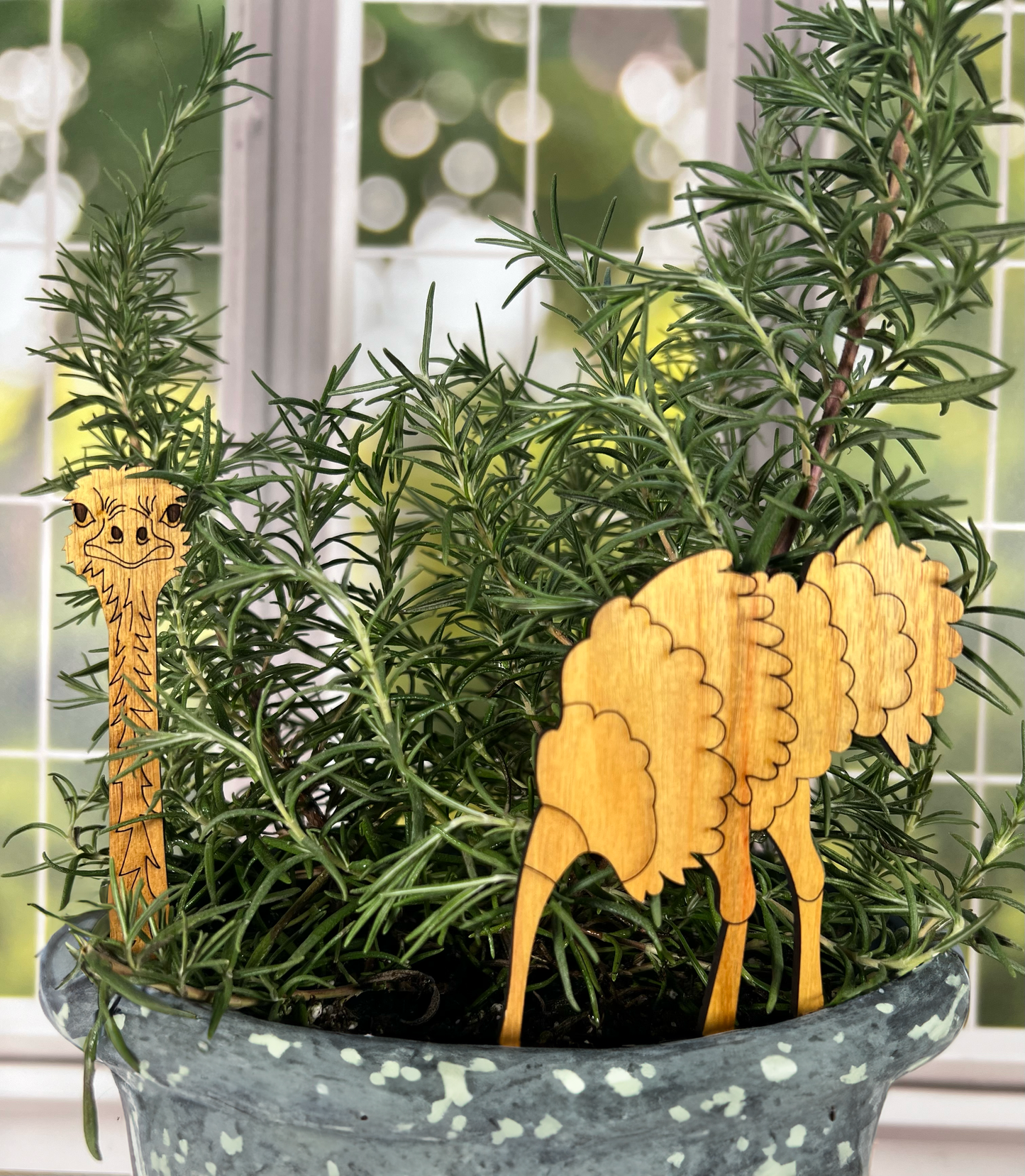 Ostrich Plant Buddy - Plant Pick (2pcs)